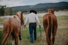 USA-Montana-Little Belt Mountains Ride